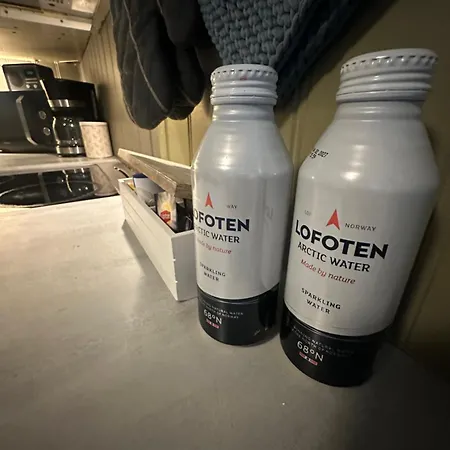 Lofoten Retreat 아파트 *