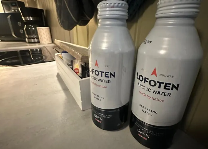 Lofoten Retreat 公寓 *